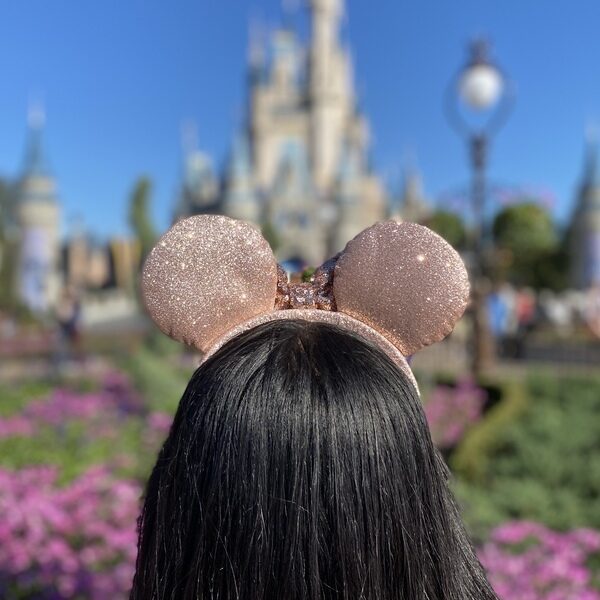 VIAJES JAZMINE FIFTEEN 2