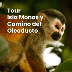 Tour Isla Monos y Camino del Oleoducto