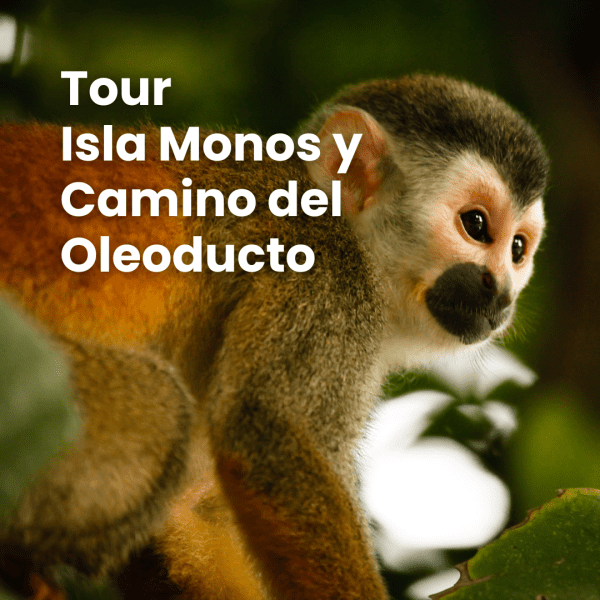 Tour Isla Monos y Camino del Oleoducto