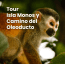 Tour Isla Monos y Camino del Oleoducto