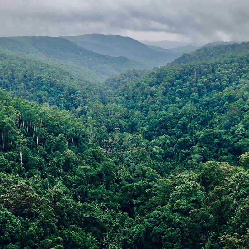 Descubre Gamboa Una Joya Natural En Panamá
