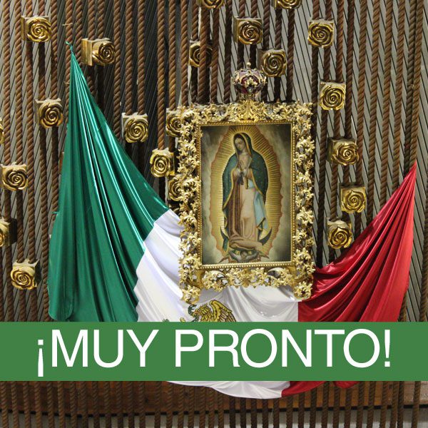 Ciudad de Mexico - Virgen de Guadalupe