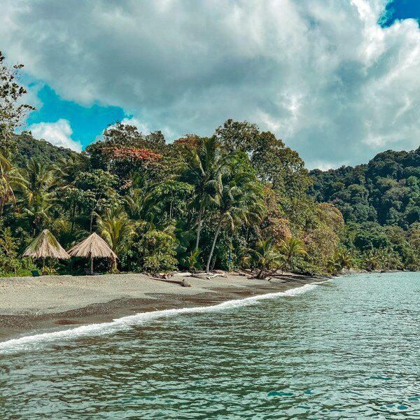 RainForest Lodge Playa Panamá