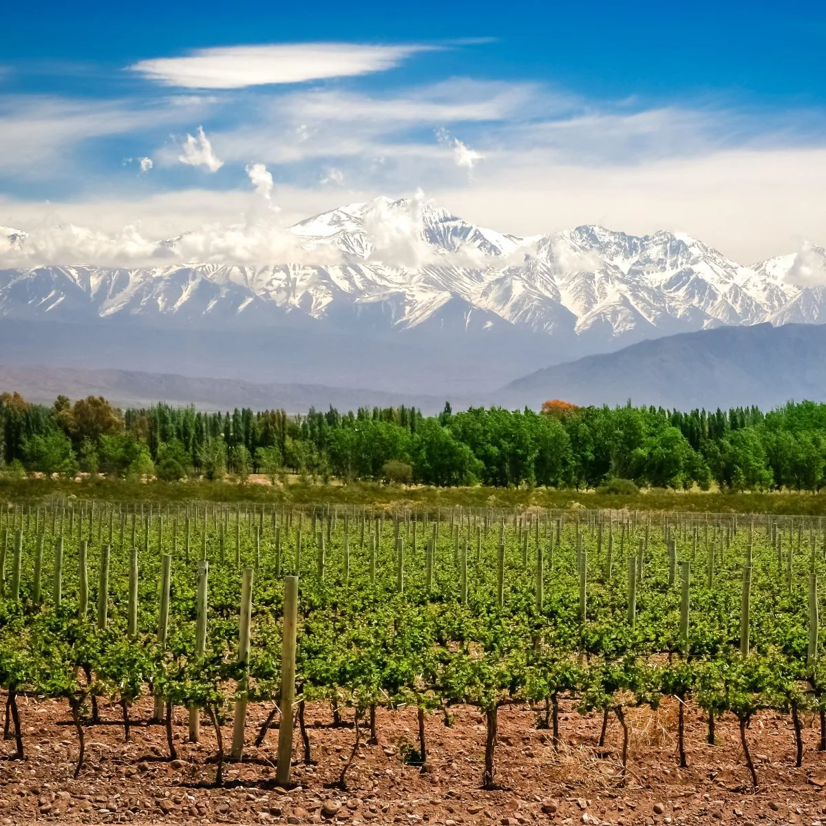 Paquete Buenos Aires y Mendoza 2026 desde Panamá | Vinos y más en Argentina