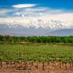 Paquete Buenos Aires y Mendoza 2026 desde Panamá | Vinos y más en Argentina