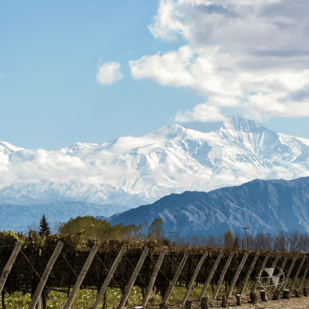 secretos de Mendoza para tu viaje entre viñedos y la Cordillera de los Andes