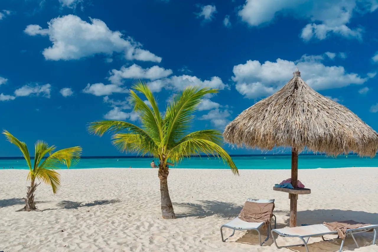 playa palmeras.jpg